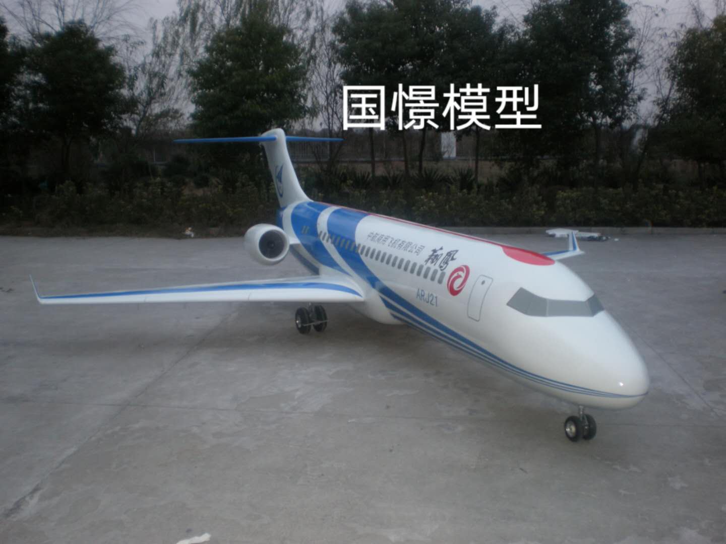 泾源县飞机模型